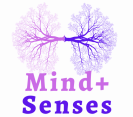 Mind+Senses